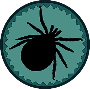 Zu den Zecken-Untersuchungen .... 